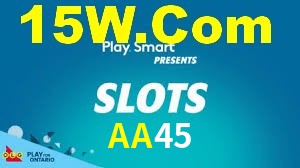 AA45 App Interface