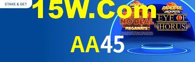 Premium Interface AA45